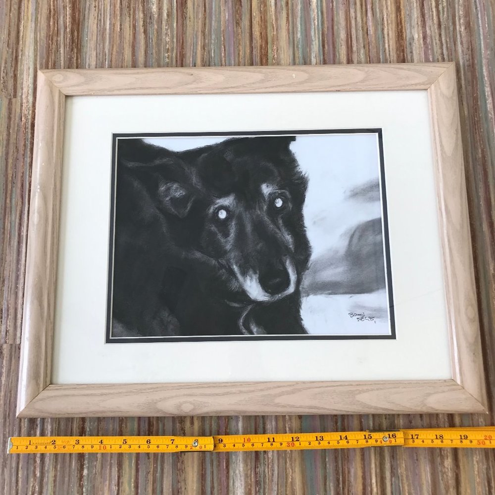 Black Dog Original Charcoal Drawing Framed Artist Signed & Dated Barry '95